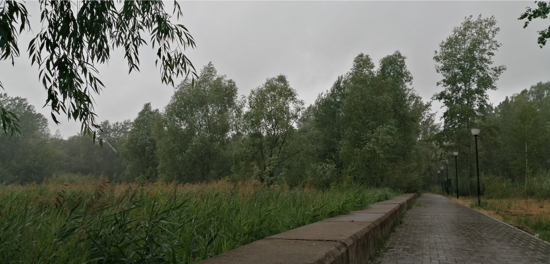 IMG 20190629 141256.jpg