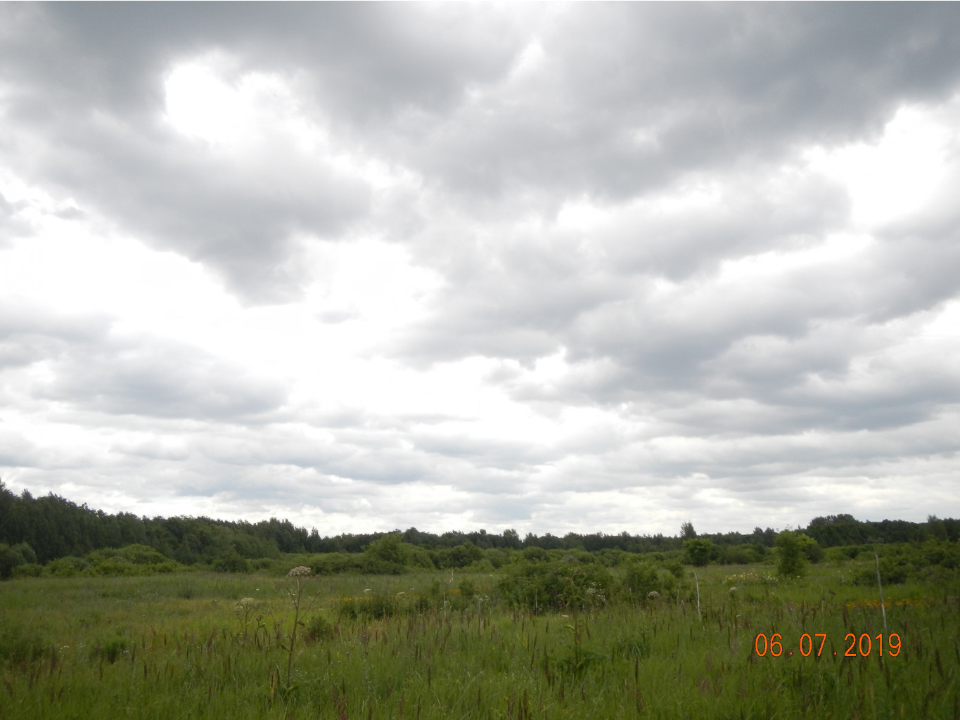 DSCN0421.JPG