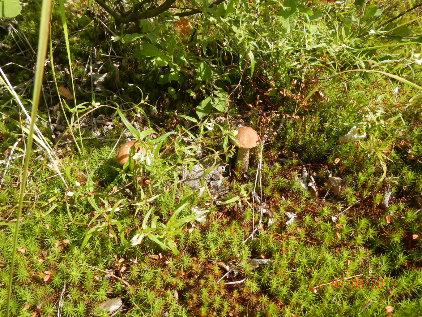 DSCN1085.JPG