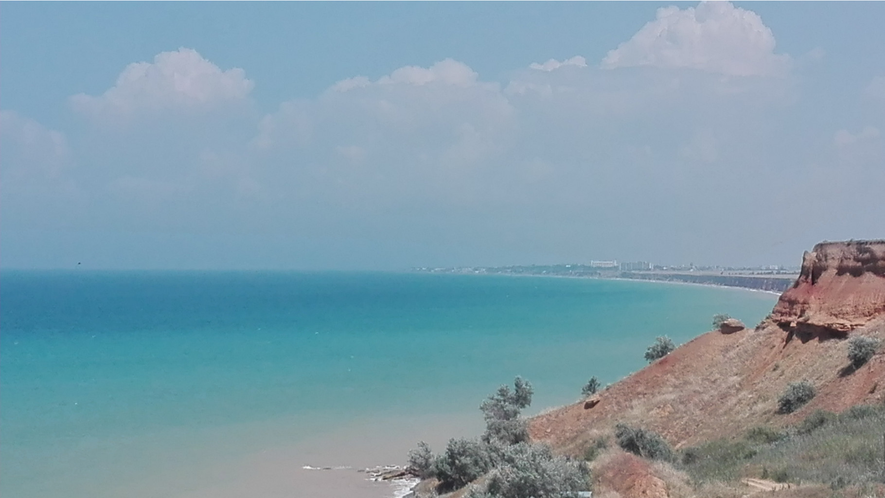 IMG 20190731 115504.jpg