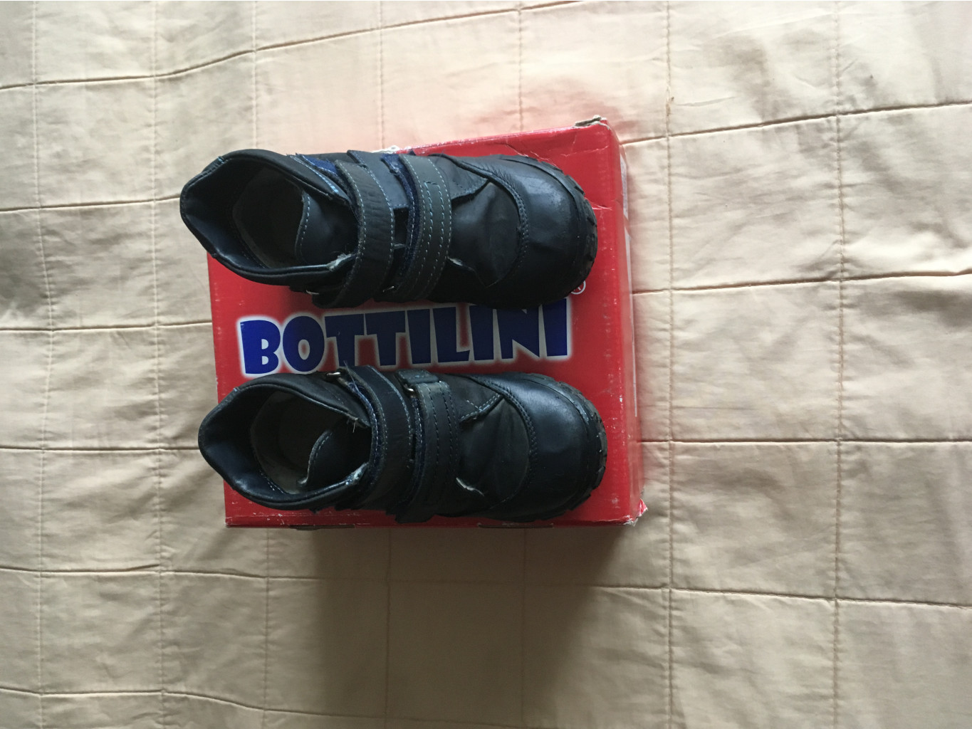   Botillini,  +, 28-, 900