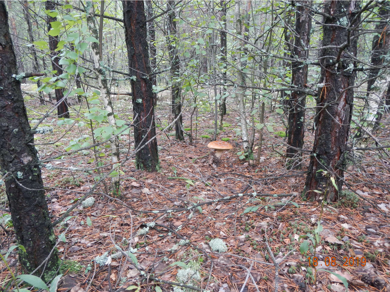 DSCN1313.JPG
