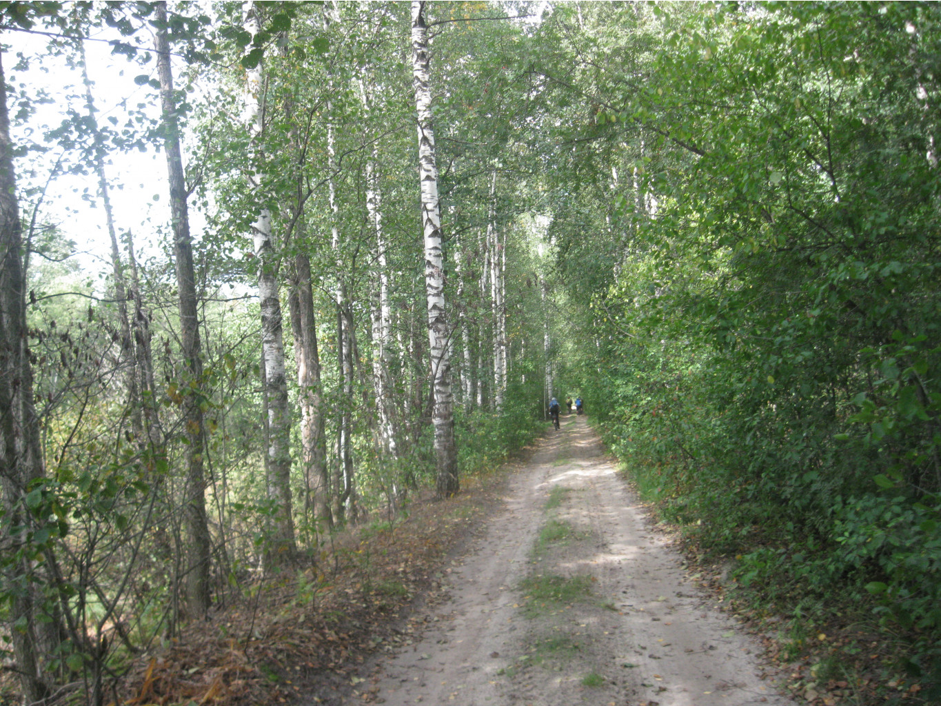 IMG 2525.JPG