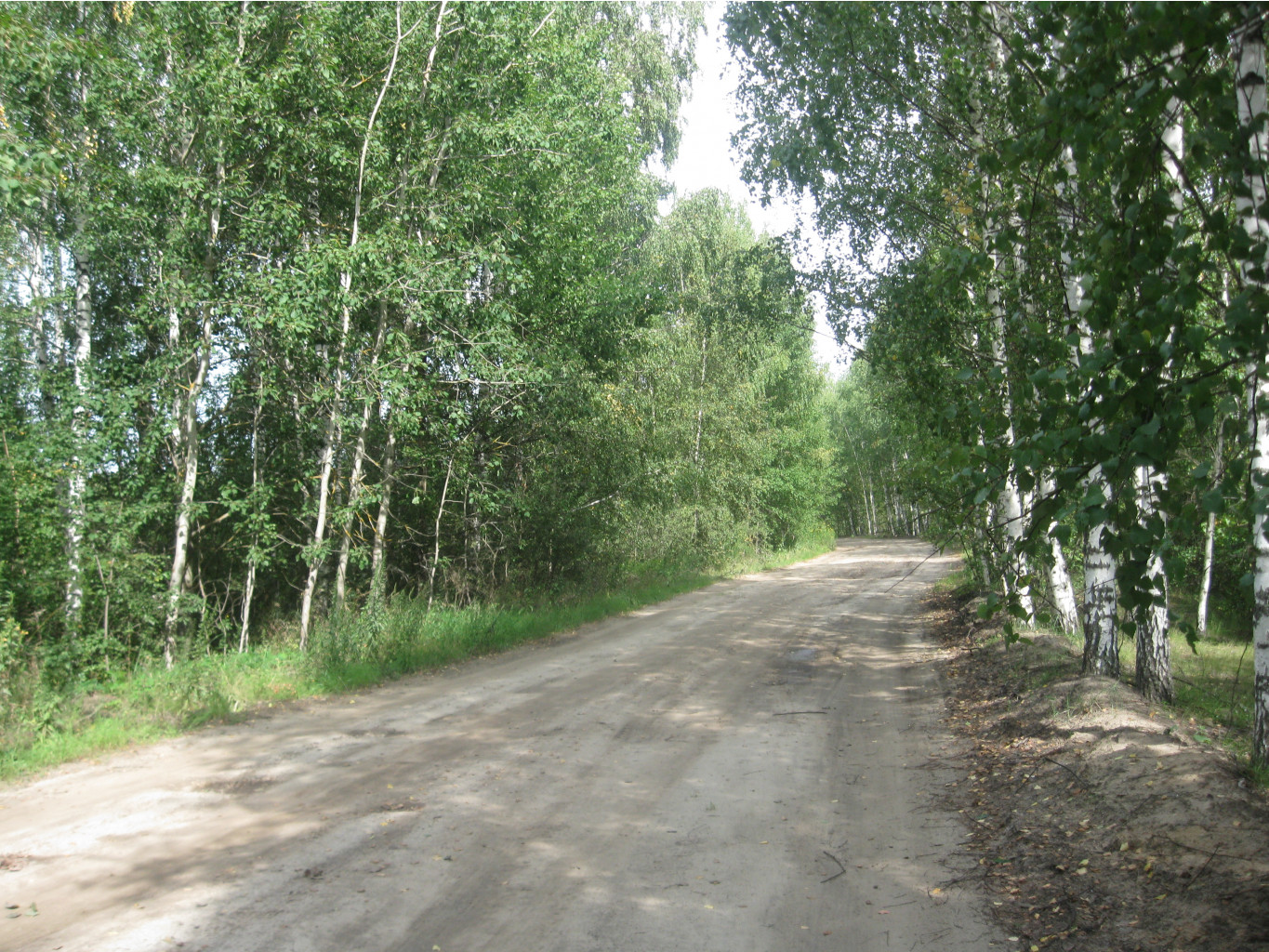 IMG 2544.JPG