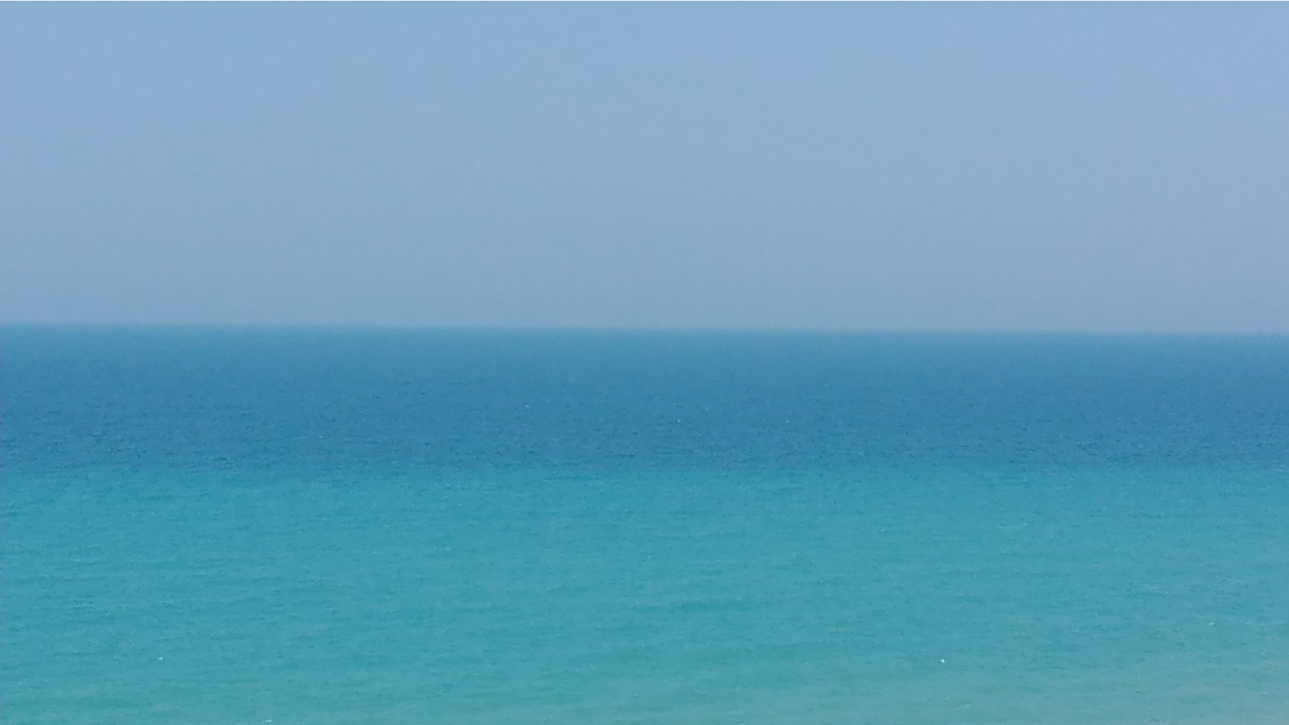 IMG 20190731 115458.jpg