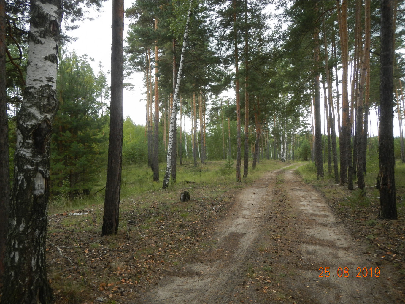 DSCN1406.JPG