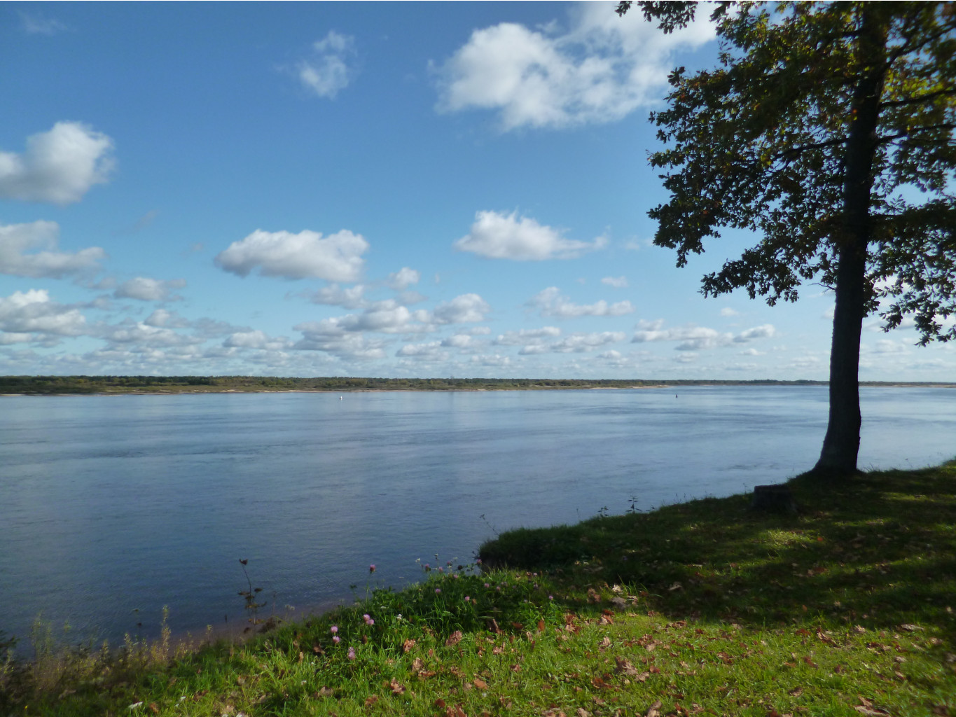 P1020746.JPG