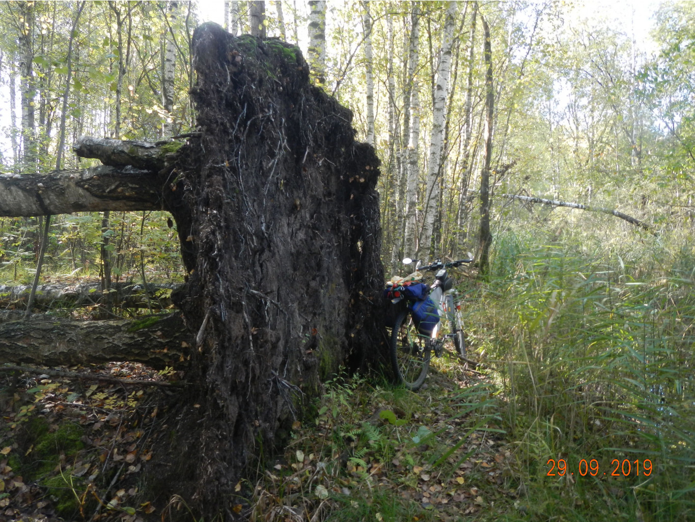 DSCN2581.JPG