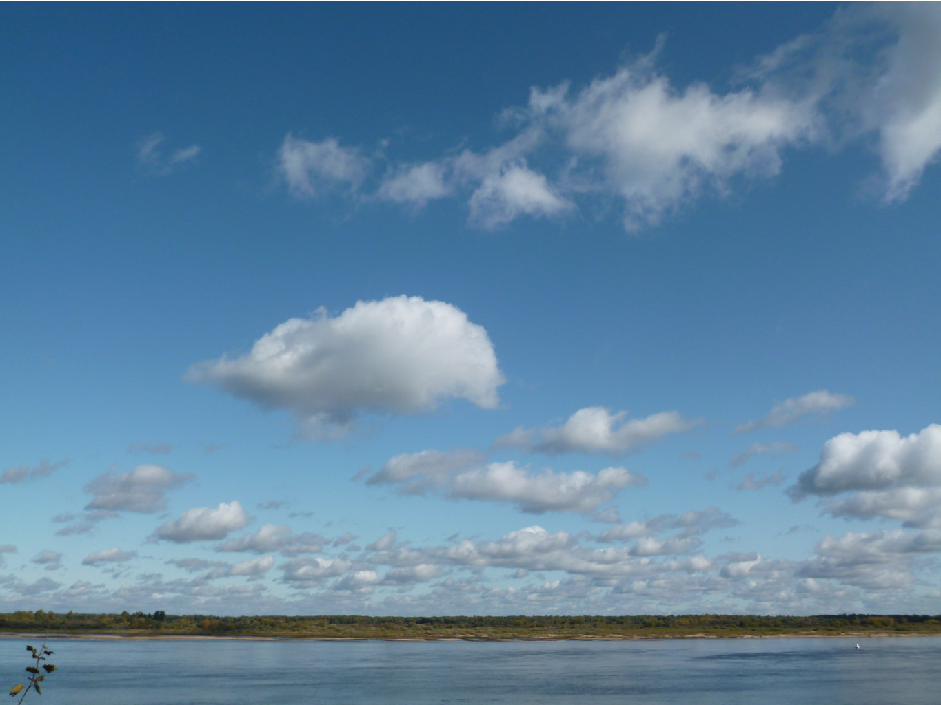 P1020747.JPG