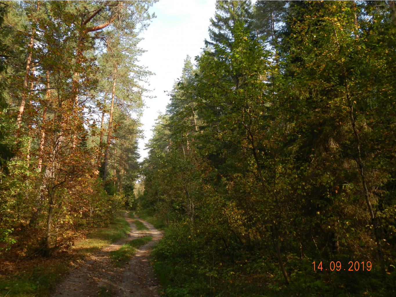 DSCN1997.JPG