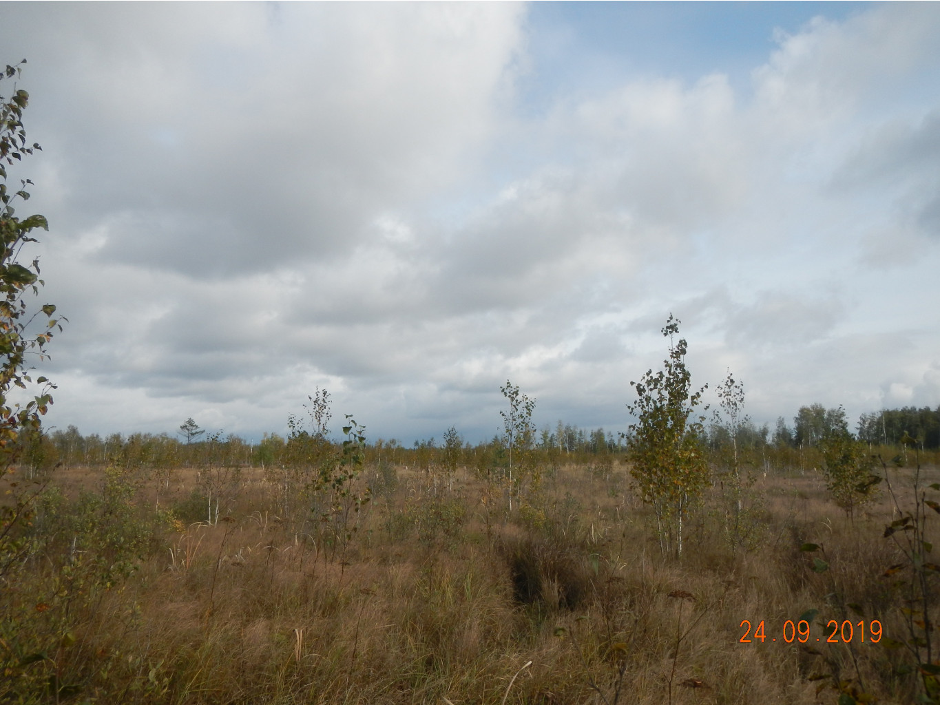 DSCN2387.JPG