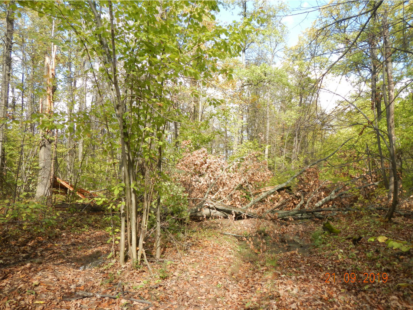 DSCN2290.JPG