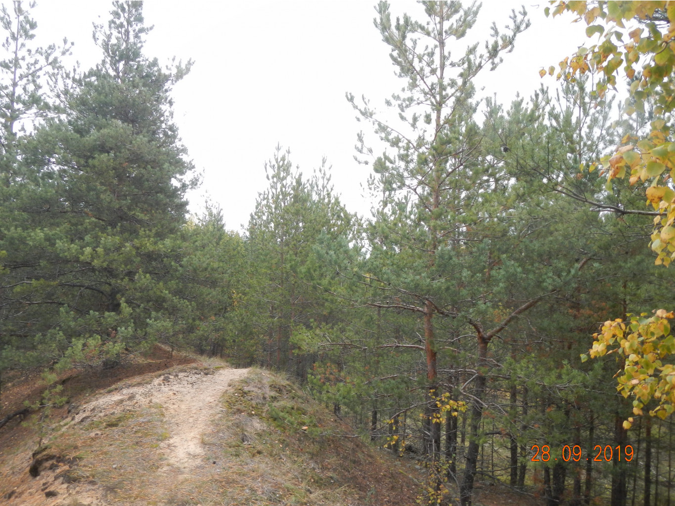 DSCN2467.JPG