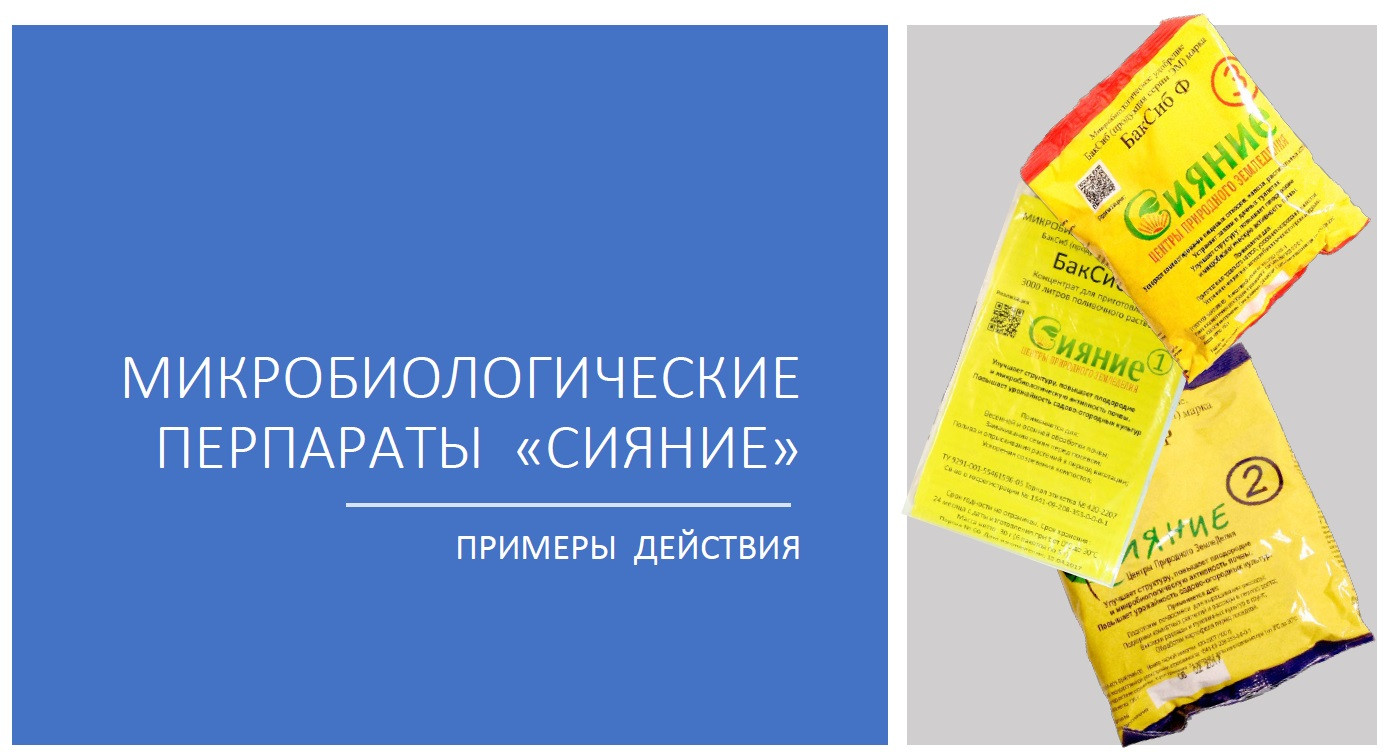 Сияние