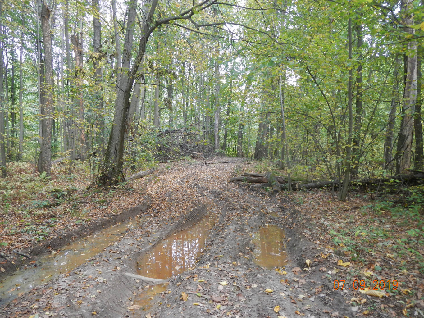 DSCN1784.JPG