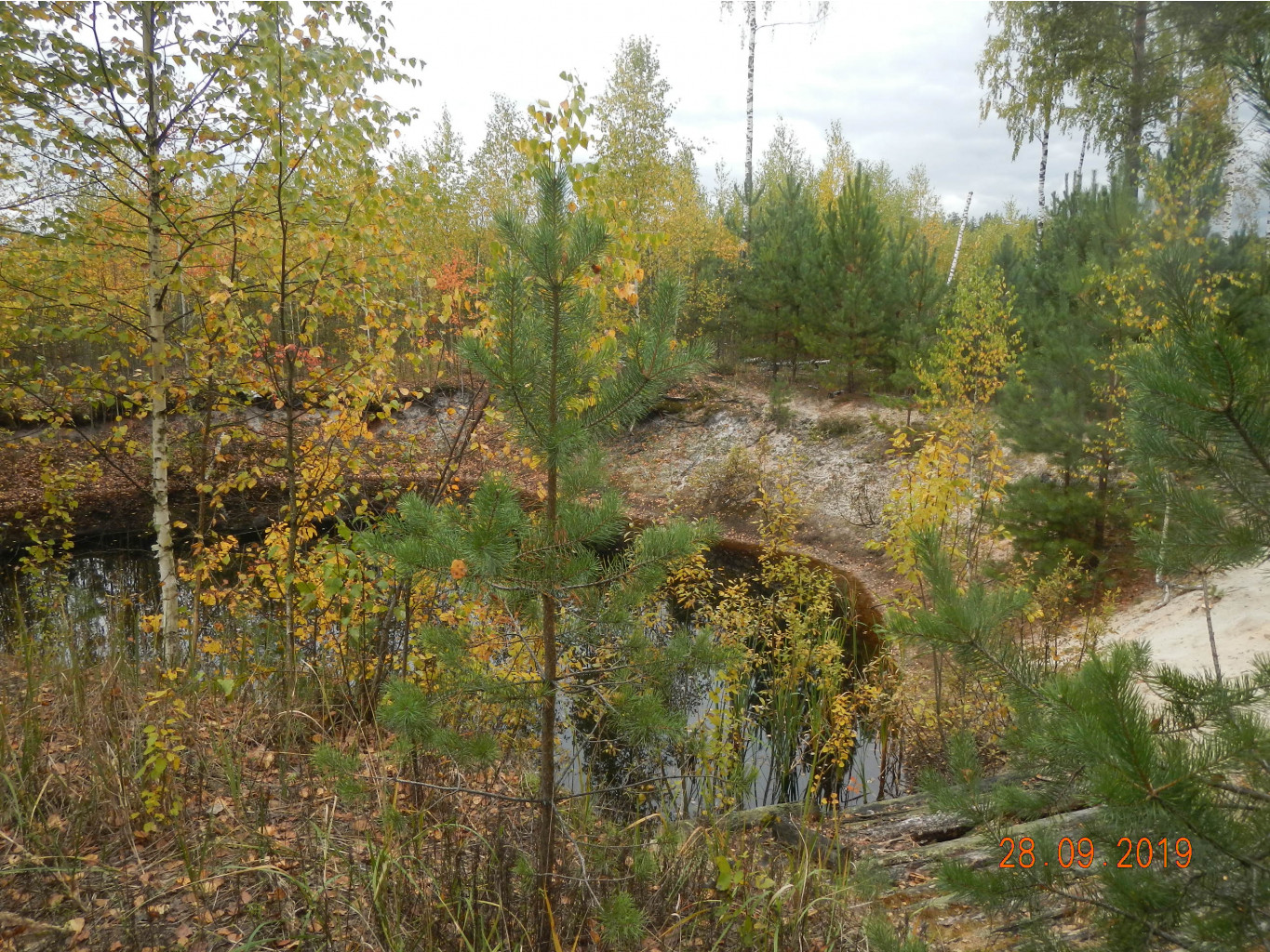 DSCN2449.JPG