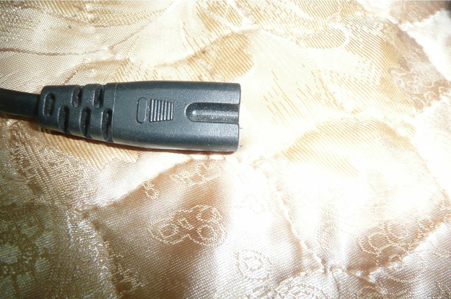 P1210012.JPG