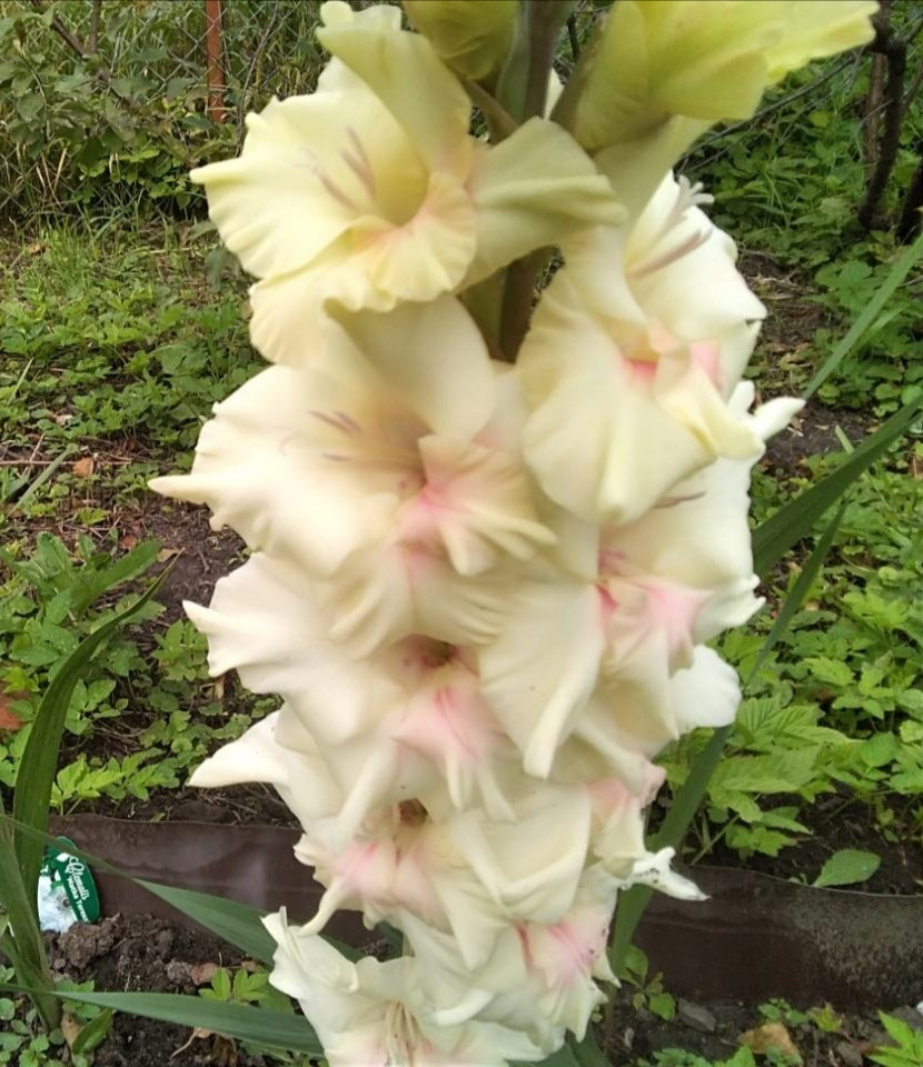 IMG 20190916 134128.jpg