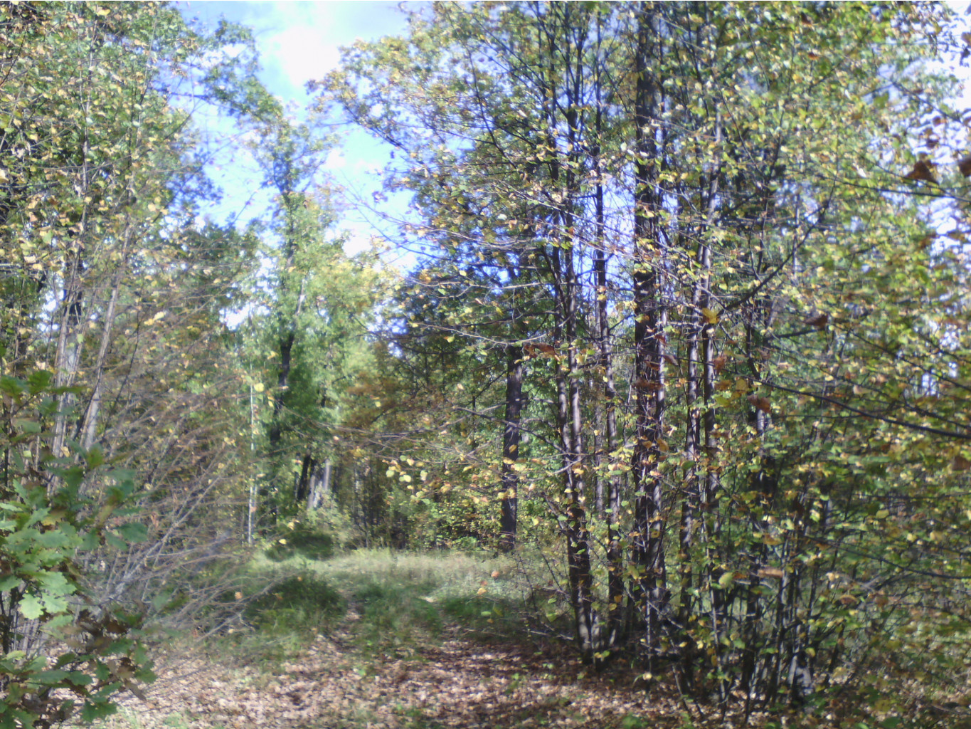 IMG 20190915 124241.jpg