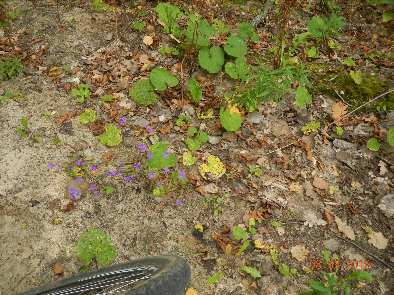 DSCN1808.JPG