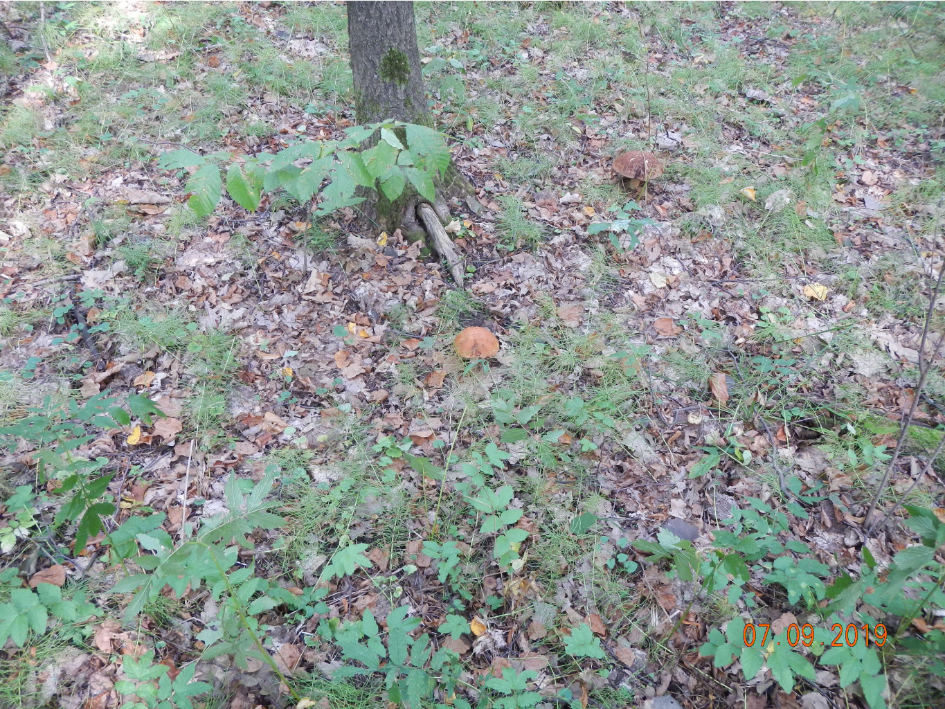DSCN1764.JPG