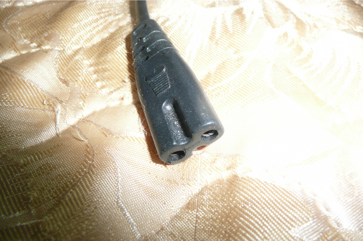 P1210011.JPG