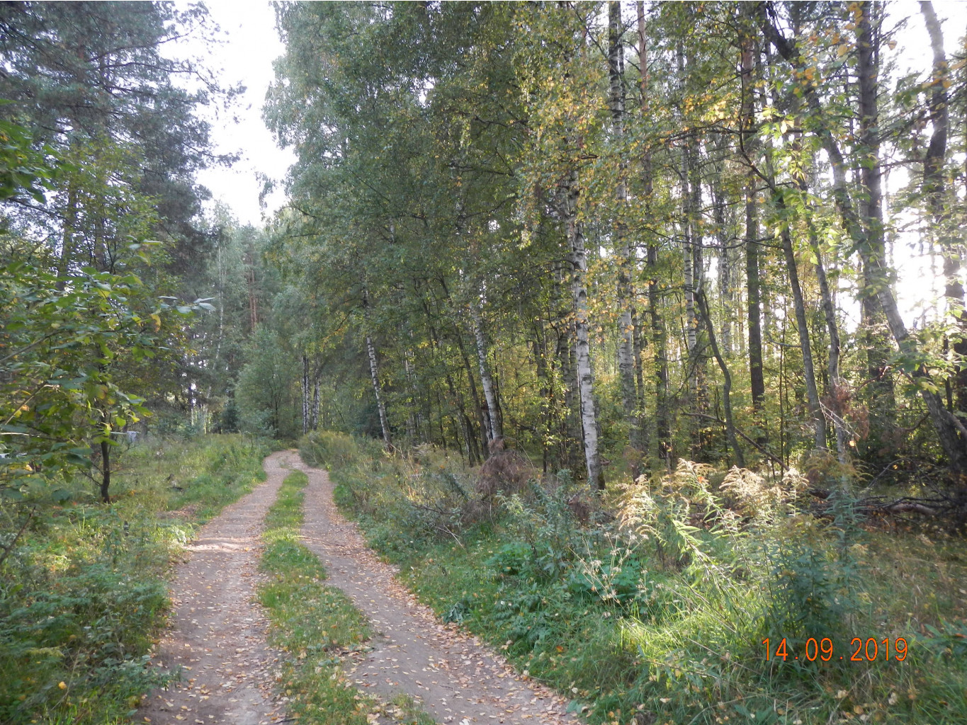 DSCN2087.JPG