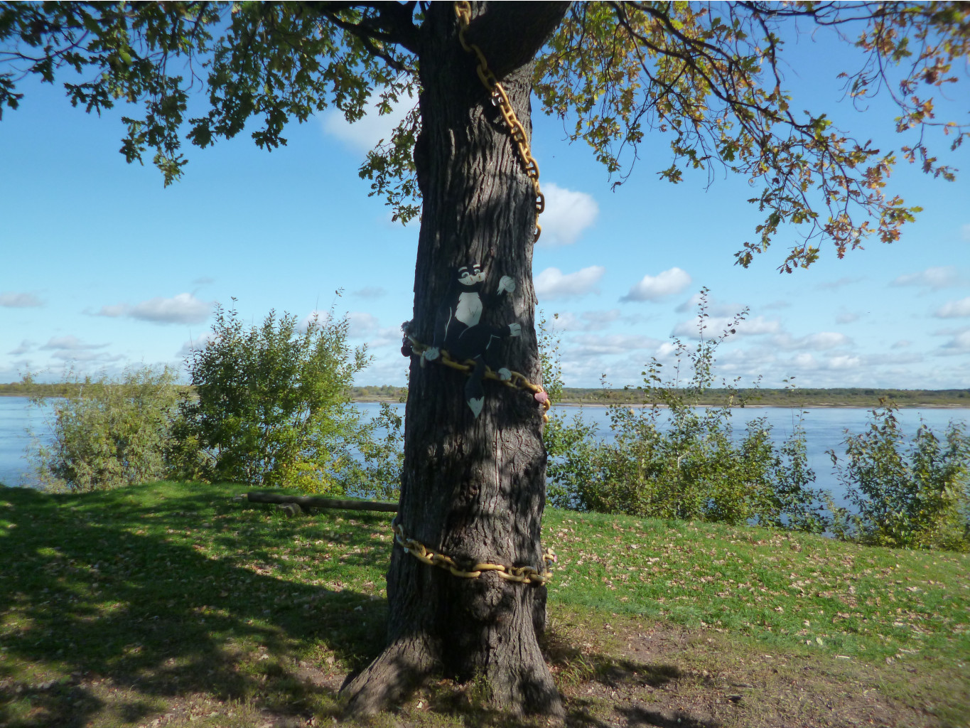 P1020737.JPG