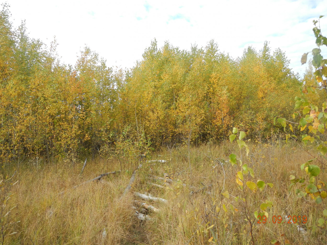 DSCN2660.JPG
