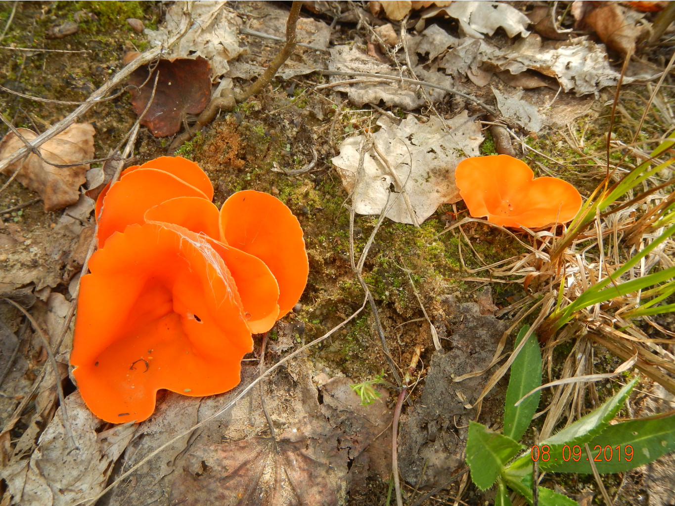 DSCN1804.JPG