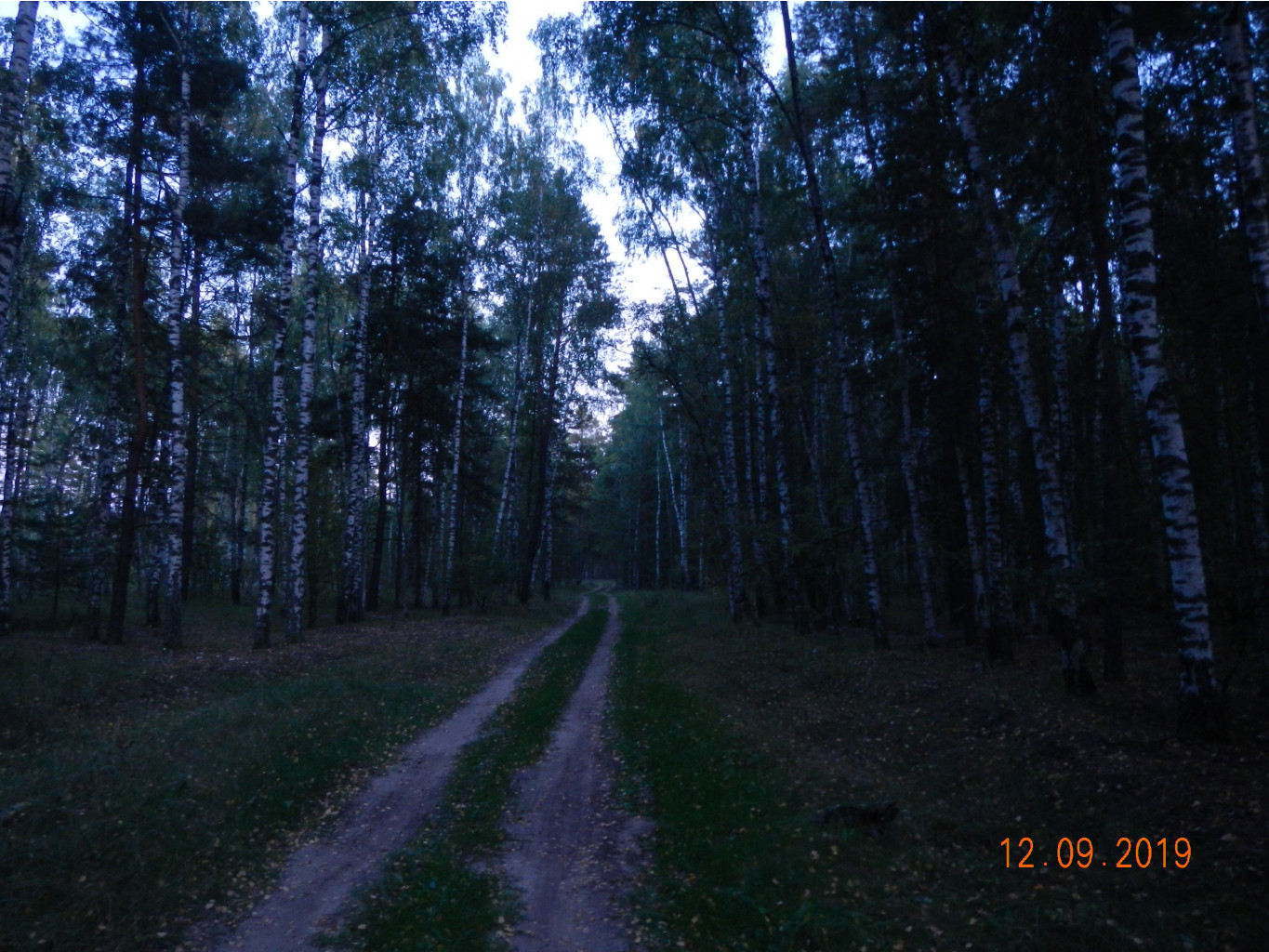 DSCN1924.JPG