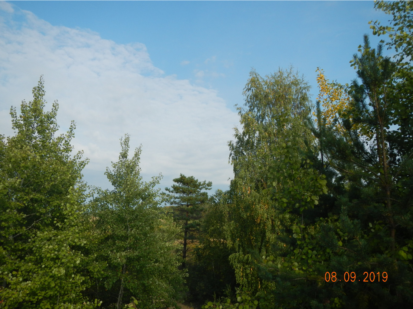 DSCN1868.JPG