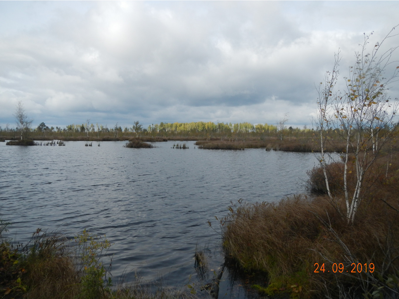 DSCN2398.JPG