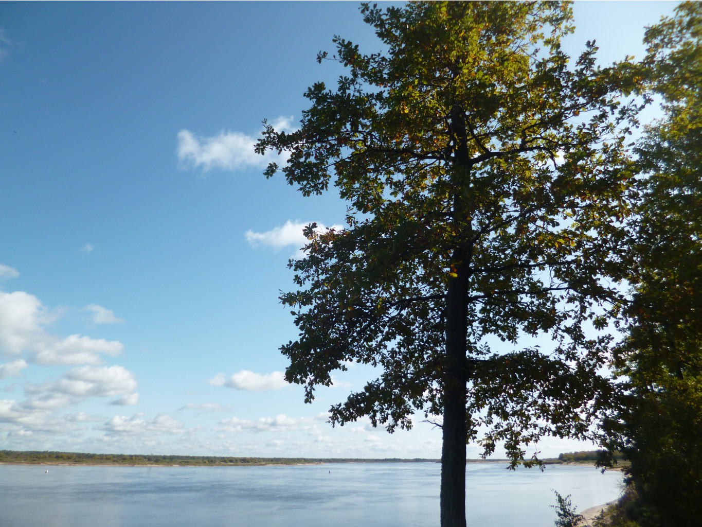 P1020742.JPG