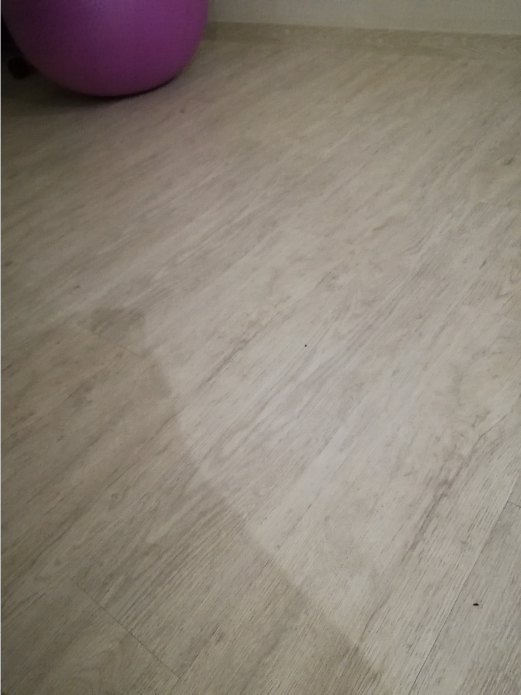 IMG 20190903 203523.jpg