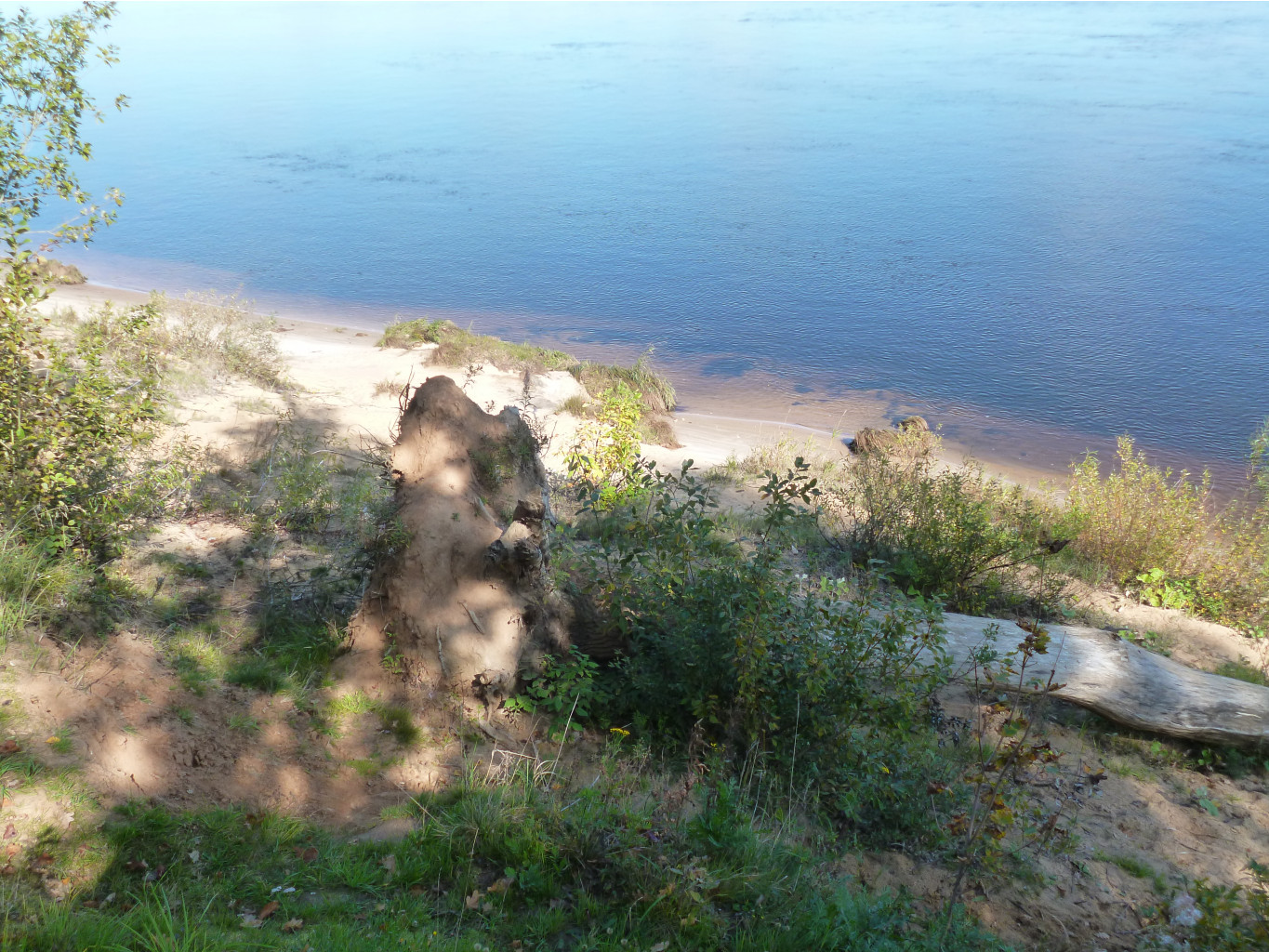 P1020744.JPG