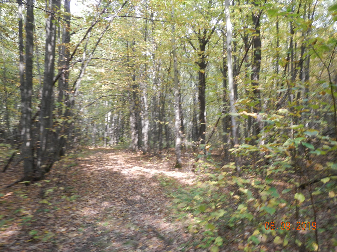 DSCN1815.JPG