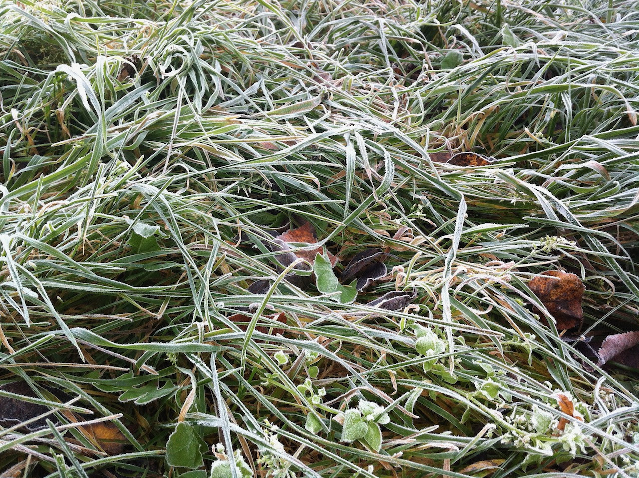 2017-10-22 07.47.46.jpeg