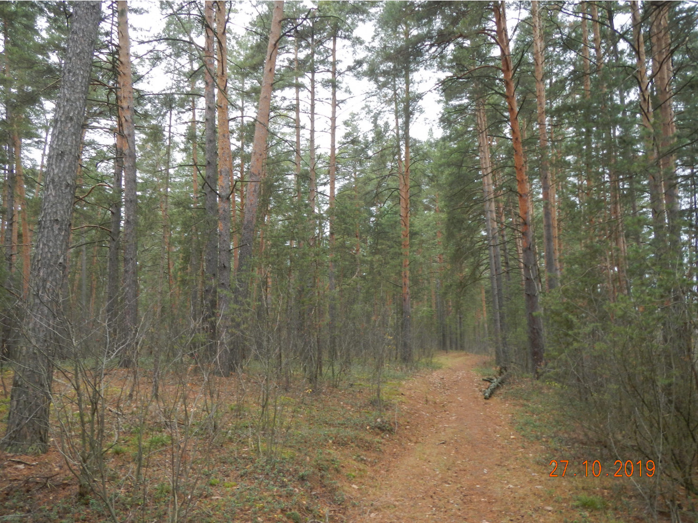 DSCN3011.JPG