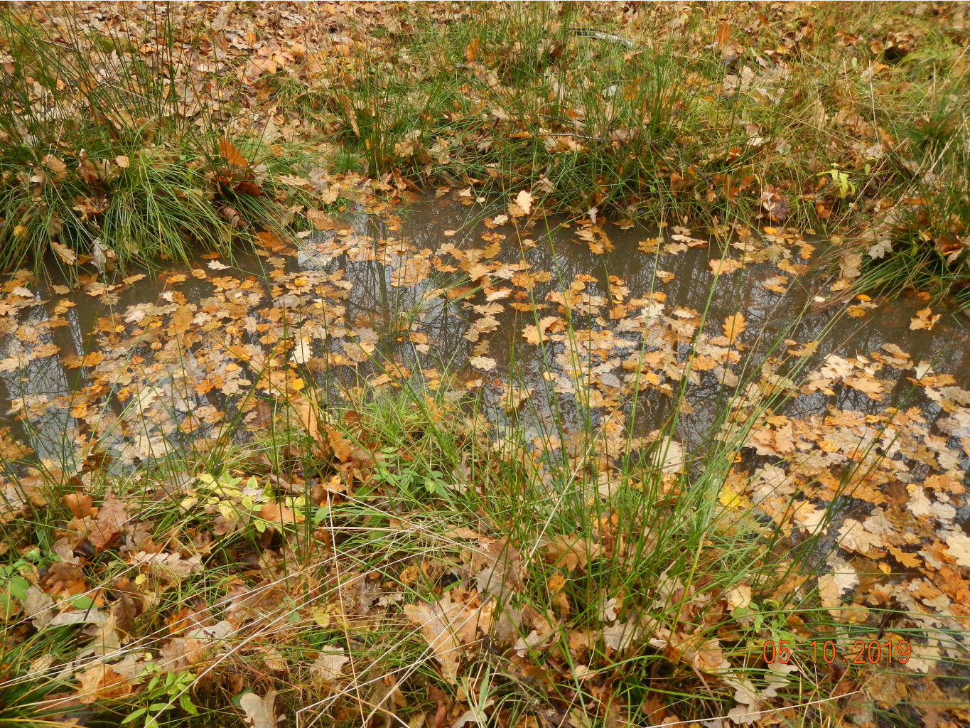 DSCN2718.JPG