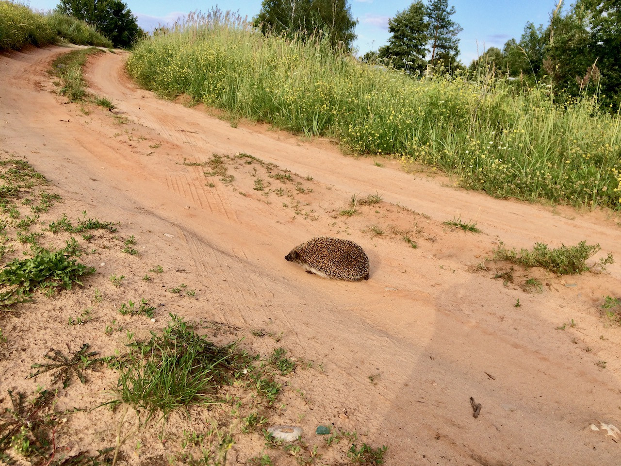 2015-07-08 18.09.27.jpeg