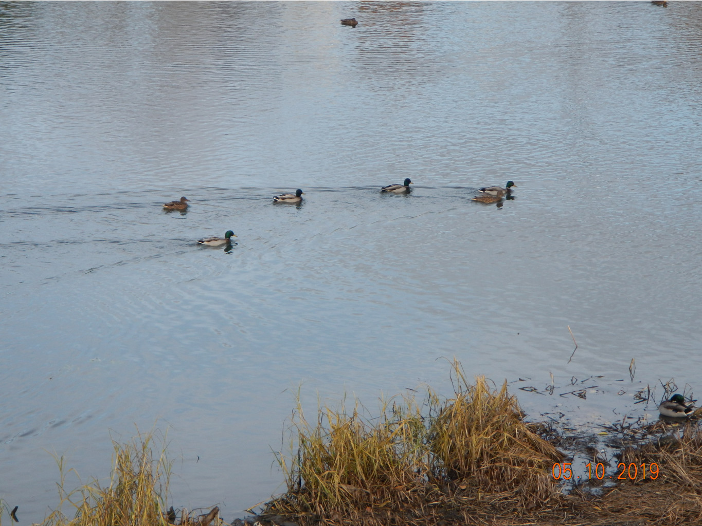 DSCN2738.JPG