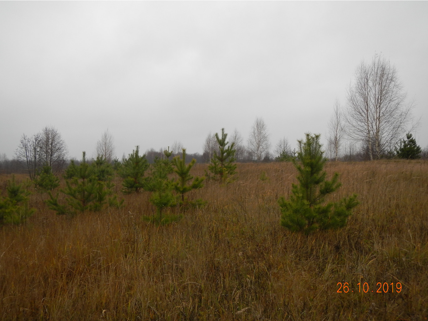 DSCN2923.JPG
