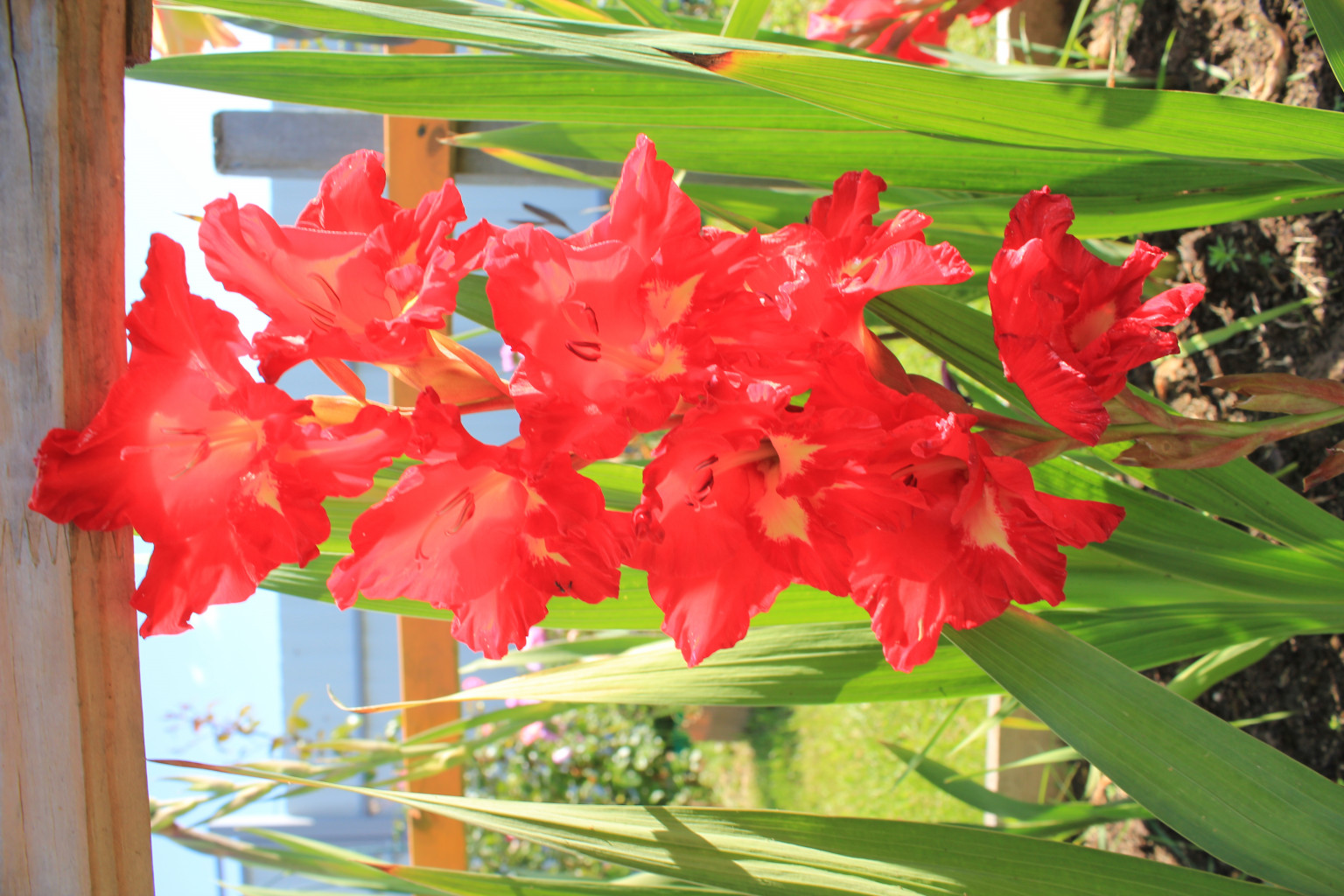 IMG 0366.JPG