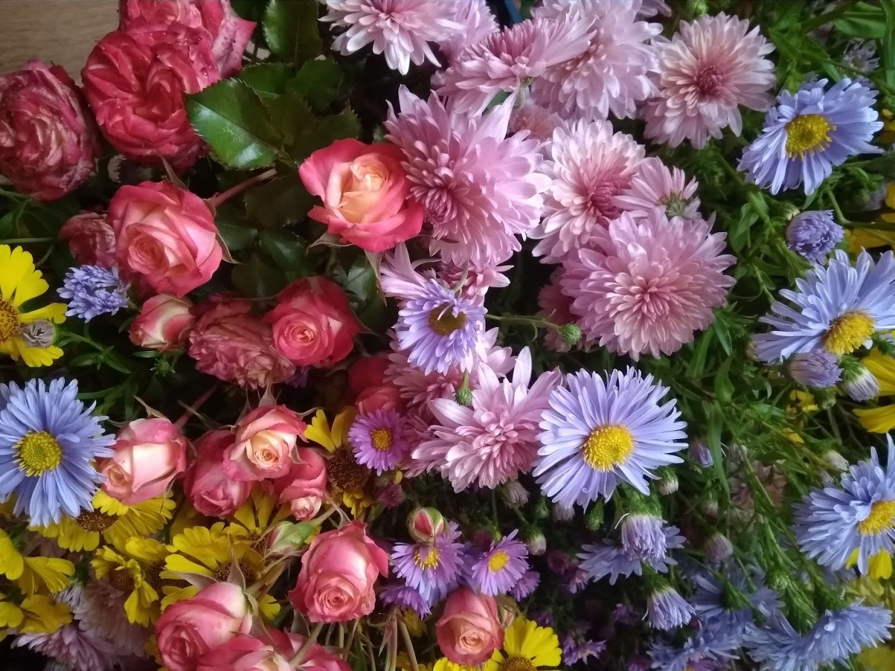 IMG 20190927 075955.jpg