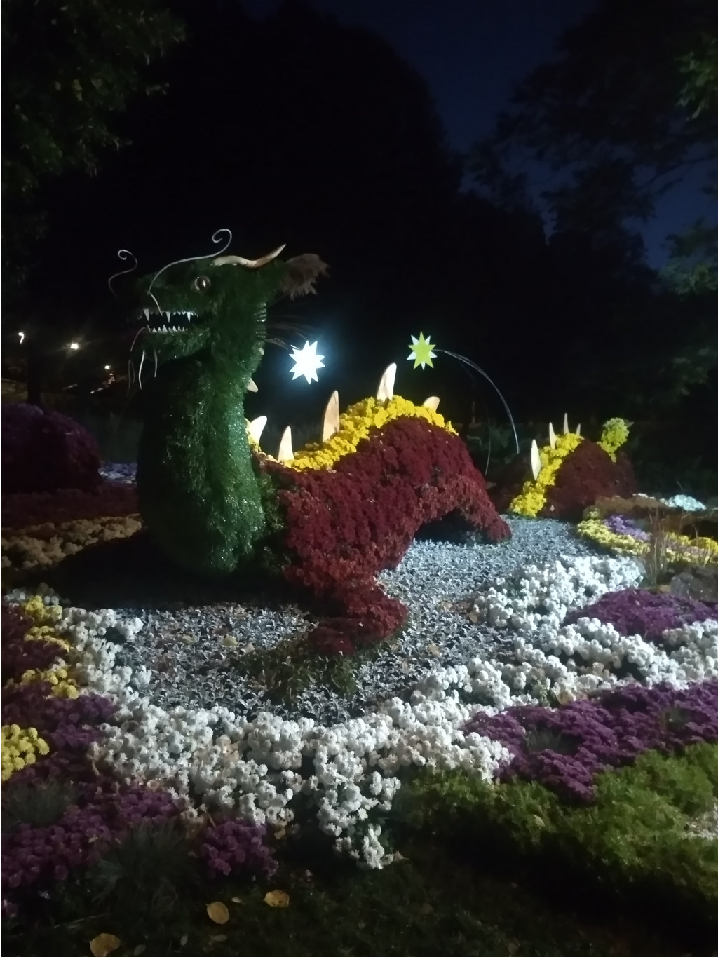 IMG 20191014 185556 HHT.jpg