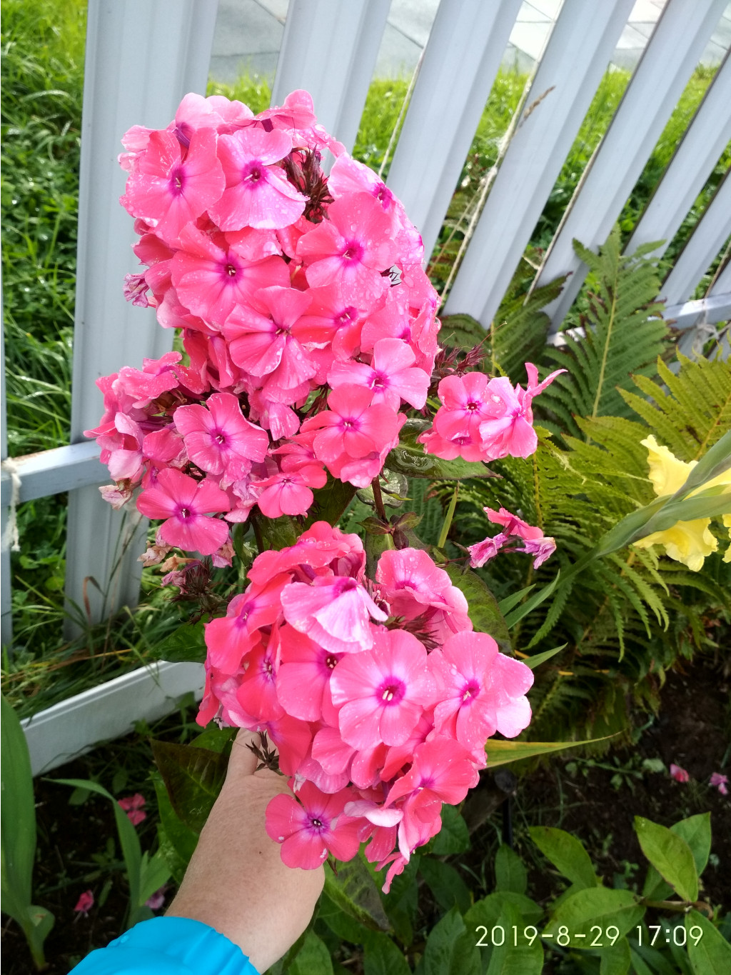 IMG 20190829 170940 HDR.jpg