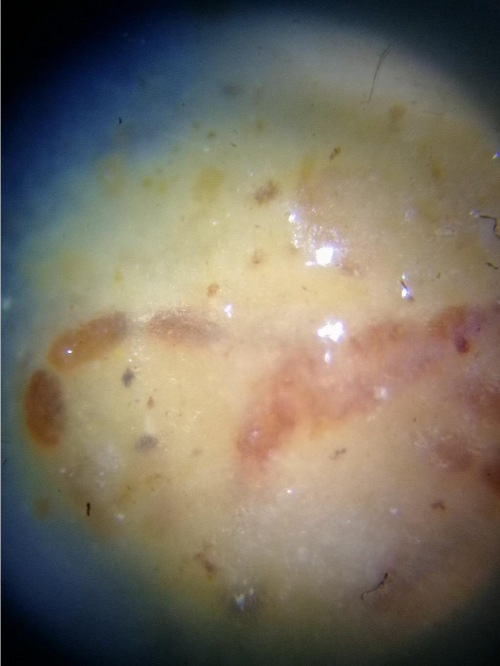 IMG 20191009 113404.jpg