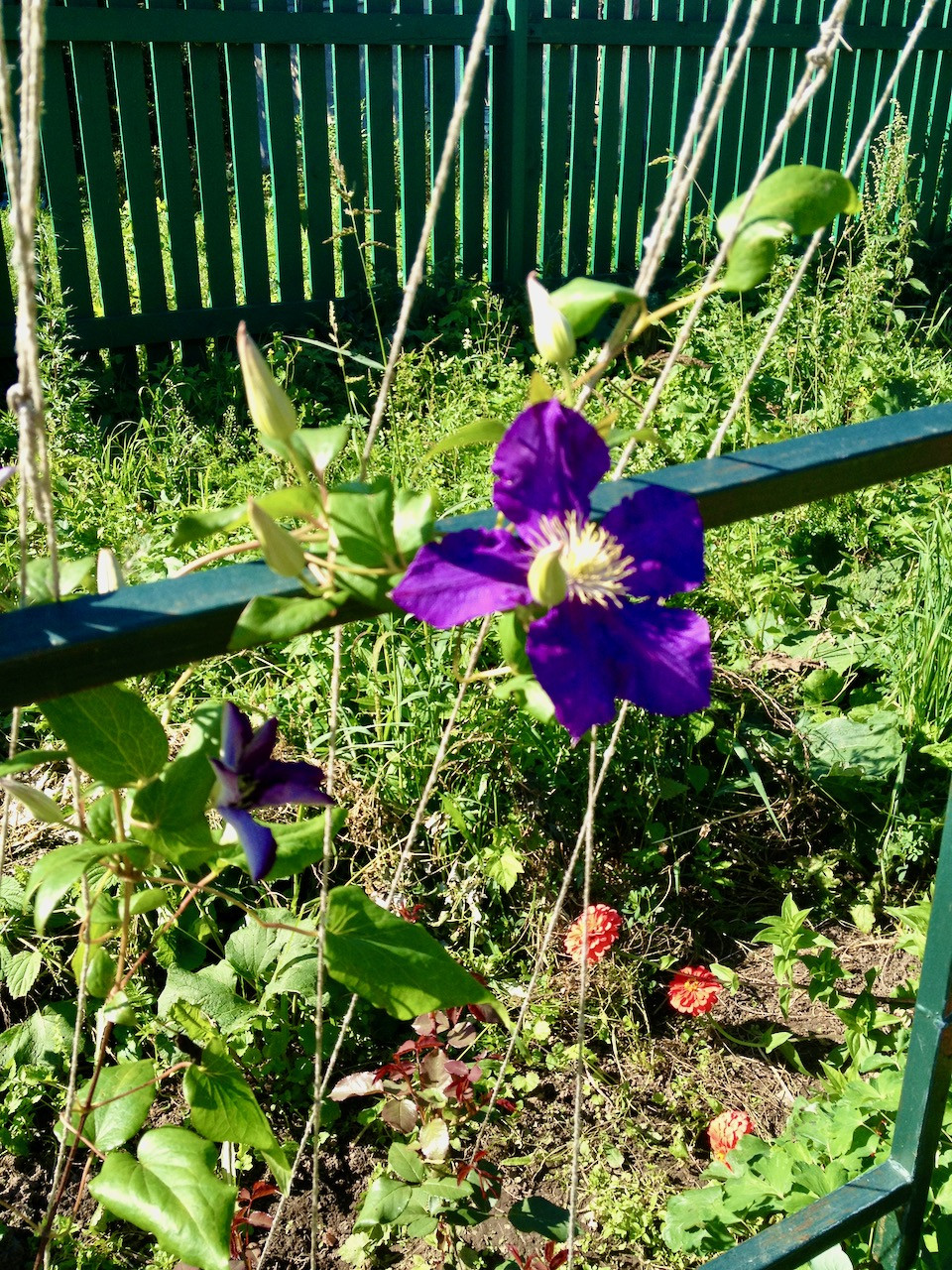 2013-08-20 10.29.51.jpeg