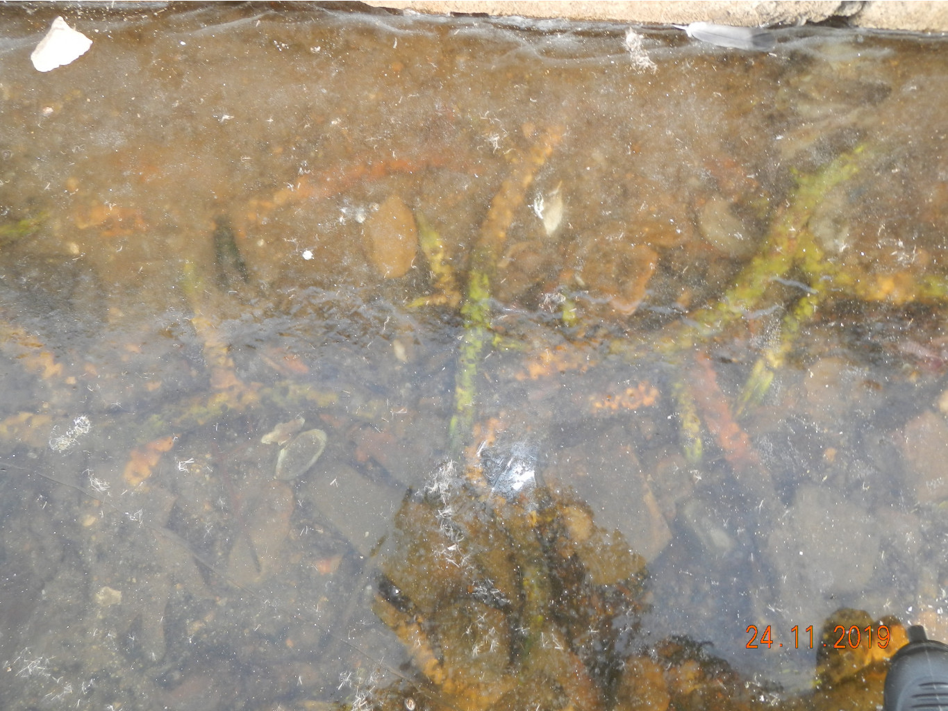 DSCN3434.JPG